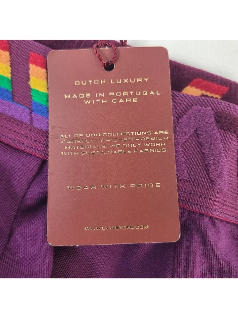 LVW Dutch Luxury Purple Briefs With Rainbow Waistband Organic Cotton Sz Small